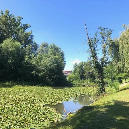 Beautiful Next To Garonne River! *